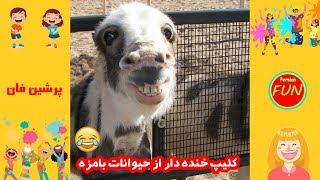 کلیپ طنز حیوانات با مزه - Funny Persian Videos