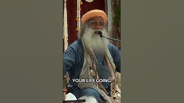 What is The Purpose Of Life? Why Are We Born?
