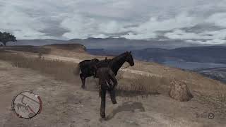 RDR remastered  ps5