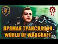 ОБЩЕНИЕ ГОЛДФАРМ С ПОДПИСЧИКАМИ World of Warcraft Shadowladnds 9.0.2