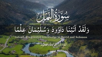 سورة النمل 💚 تلاوة هادئة 😴 سبحان من رزقه هذا الصوت! ولقد اتينا داود وسليمان علما 🌸 أرح سمعك 🎧💕