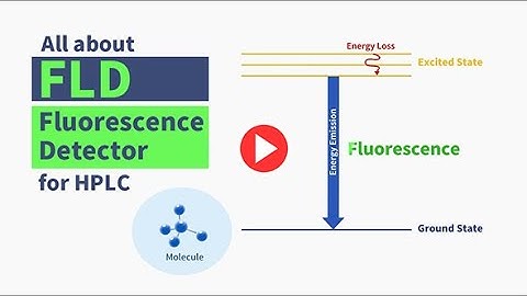 What is a Fluorescence Detector (FLD)?