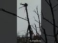 18 февраля 2023 г.