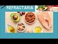 Dieta Cetogénica como tratamiento para la epilepsia refractaria