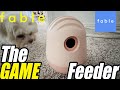 Unique Feeder for Dogs (HONEST REVIEW) by Fable Pets