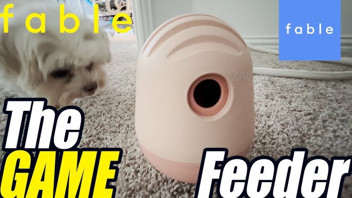 Fable Pets Magic Link Leash: An Honest Review