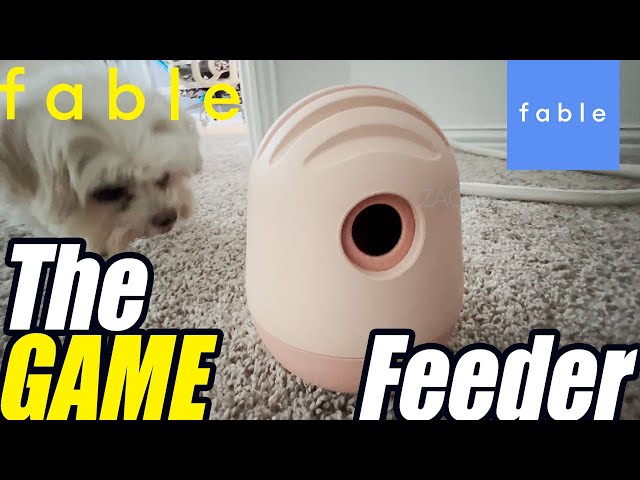 Fable Pets Magic Link Leash: An Honest Review