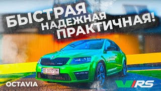 Skoda Octavia A7 RS / GEN3+DQ250 - лучшая за свои деньги!