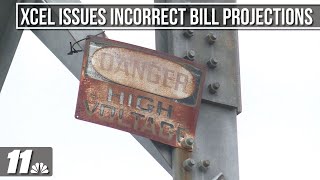 Famous Xcel customers spooked by emails mistakenly showing 300% increase in electric bill Profile