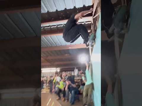 Wyatt Wisenbaker INSANE NBD Tampa Am 2024!! #skateboarding