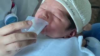 Newborn Baby Theo drinks breast milk from the cup