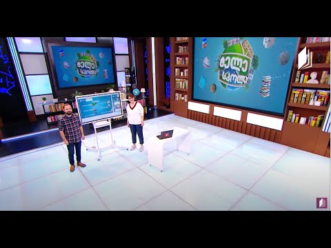 დაწყებითი კლასები / Young Learners - School Subjects ​ #ტელესკოლა