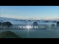 ПСАЛОМ  65