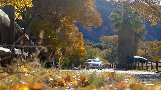 Fall colors in Southern California
