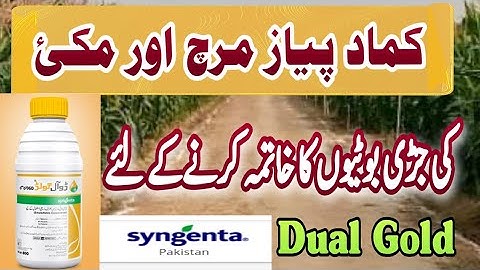 Dual Gold Best weeds Control Form Crops#Dual Gold By #syngenta Weeds control From#corn#sugarcane#Etc