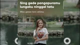 CERITO LORO - Fdj Emily Young ( lirik )