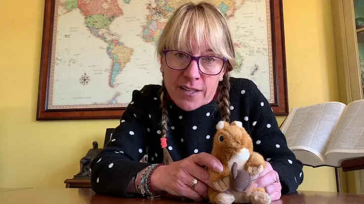 SQUIRRELS - Social Distance Learning with Nano on ...
