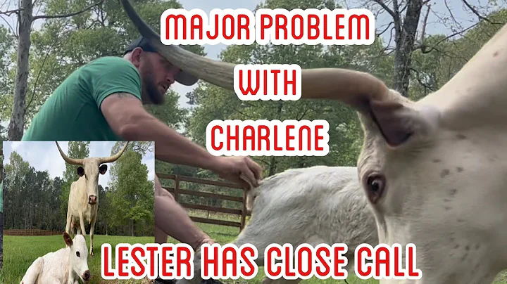 Major Problem With Charlene