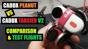 CADDX PEANUT VS CADDX TARSIER V2 | COMPARISON & TEST FLIGHTS