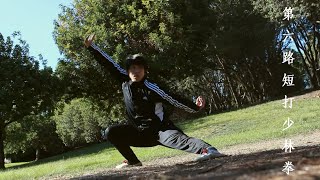NORTHERN SHAOLIN 第六路短打少林拳 (FORM + APPLICATION)