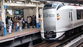 E259系クラNe020編成新塗装横浜駅発車