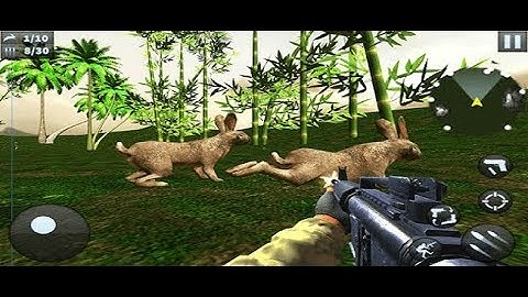 Real Rabbit Shooting 3D | Crazy Hunting Game | Unity Source Code for Sale | sellmyapp.com