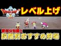 【ドラクエ10オフライン】🔥レベル上げ🔥便利な知識と段階別おすすめ狩場！【ドラクエXオフライン】