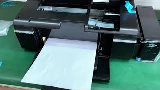 How to convert Epson L805 printer to DTF, To print PET film,then transfer to fabrics, and more!