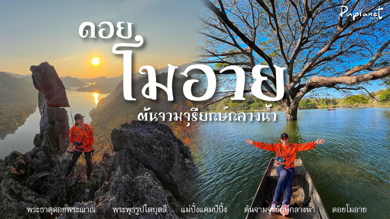 ดอยโมอาย & ต้นจามจุรียักษ์กลางน้ำ ณ เชียงใหม่