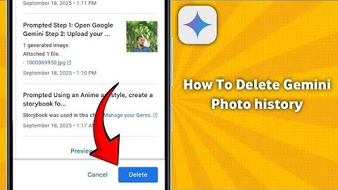 How To Delete Gemini Photo history (2025)