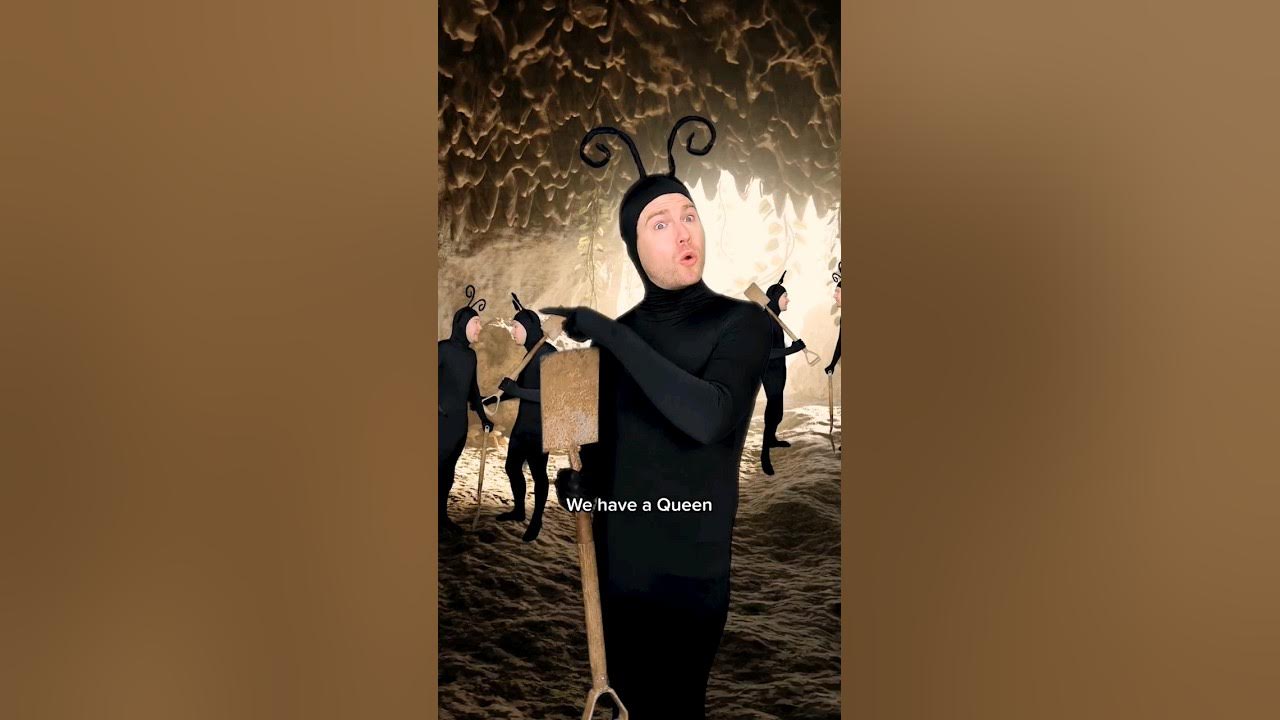 Ants Don't Want to Work ๐ #comedy #insects #shorts Ants Don't Want to Work ๐ #comedy #insects #shorts