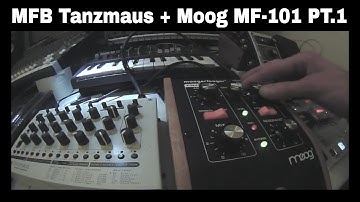 MFB Tanzmaus & Moog MF-101 Pt.1 (no talking, just sound)