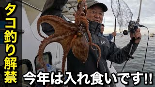 【瀬戸内海】タコ釣り解禁、今年は入れ食いです！！【淡路島 釣り船くにうみ丸】