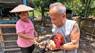 Semakin Cantik,Kemas Di Pondok Semenjak Mak&Bapa Datang Sini // Kebun Sayur Bertambah //