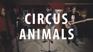 Circus Animals - Rhythm (Local Live)