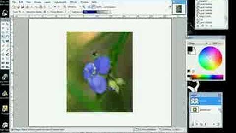 Use Paint.NET to make flower