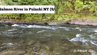 Salmon River NY Live Updates