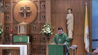 Fr. Joe Mozer Homily, Tuesday of the Twenty-third Week in Ordinary Time – Lk 6:12-19 by Plainville-Wrentham Catholic YouTube 25 views 1 year ago 6 minutes, 50 seconds