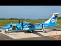 【日本一かわいい飛行機】1日1便限定の激レアプロペラ機に乗って、遭遇率90%のイルカ楽園へ行ってきた|天草エアラインみぞか号