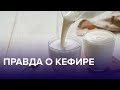 Вся правда о КЕФИРЕ | Доктор 24