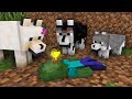 Wolf Life: BABY ZOMBIE IS BACK TO LIFE - Minecraft Animation