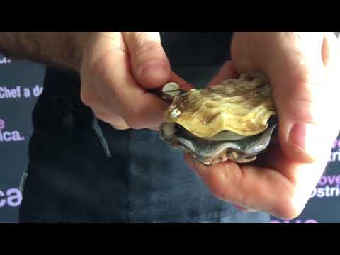 Video: Come Aprire Un'ostrica?