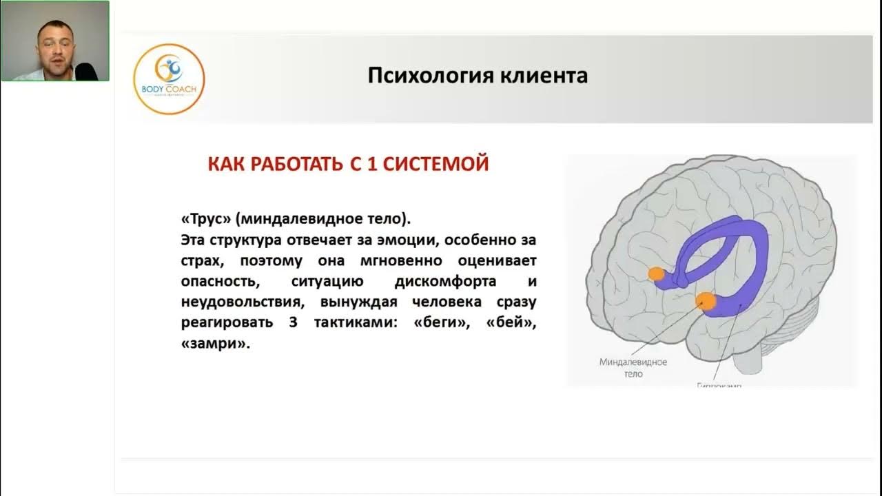 Покупательская психология. Внимание к собеседнику. Менеджмент персонала. Психология клиента. Психология потребителя.
