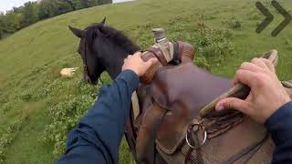 Gregorys Ranch Cattle Catching Montage