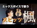 ミックスボイスでスピッツ「楓」 歌ってみた（ラストは+1キー上げ） | KUBOTA MUSIC 久保田光太