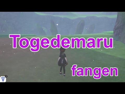 Video: Wie entwickelt man Togedemaru in Pokémon Schwert und Schild?