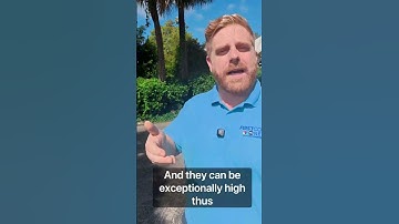 What is the king tide?