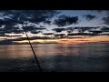 Offshore Fishing MANGROVE and REDFISH