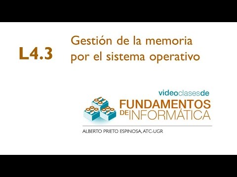 Video: ¿Cuál es el criterio de la memoria?