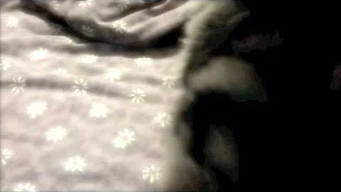 Onyx Discovers: MacBook Pro webcam